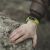New Python Backdoor Exploits Tunneling for Credential Theft